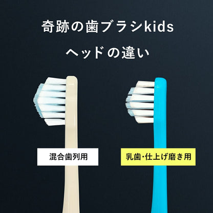 奇跡の歯ブラシkids（混合歯列用）6本