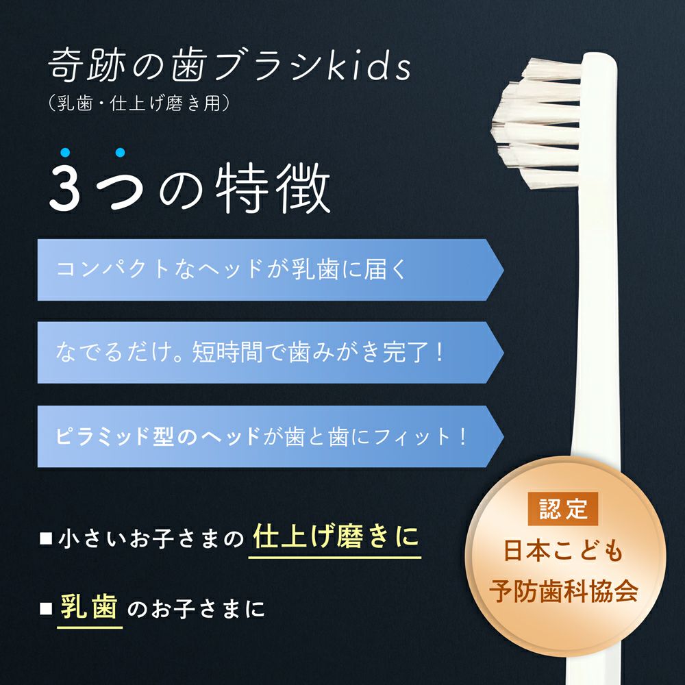 ファミリー12本セット