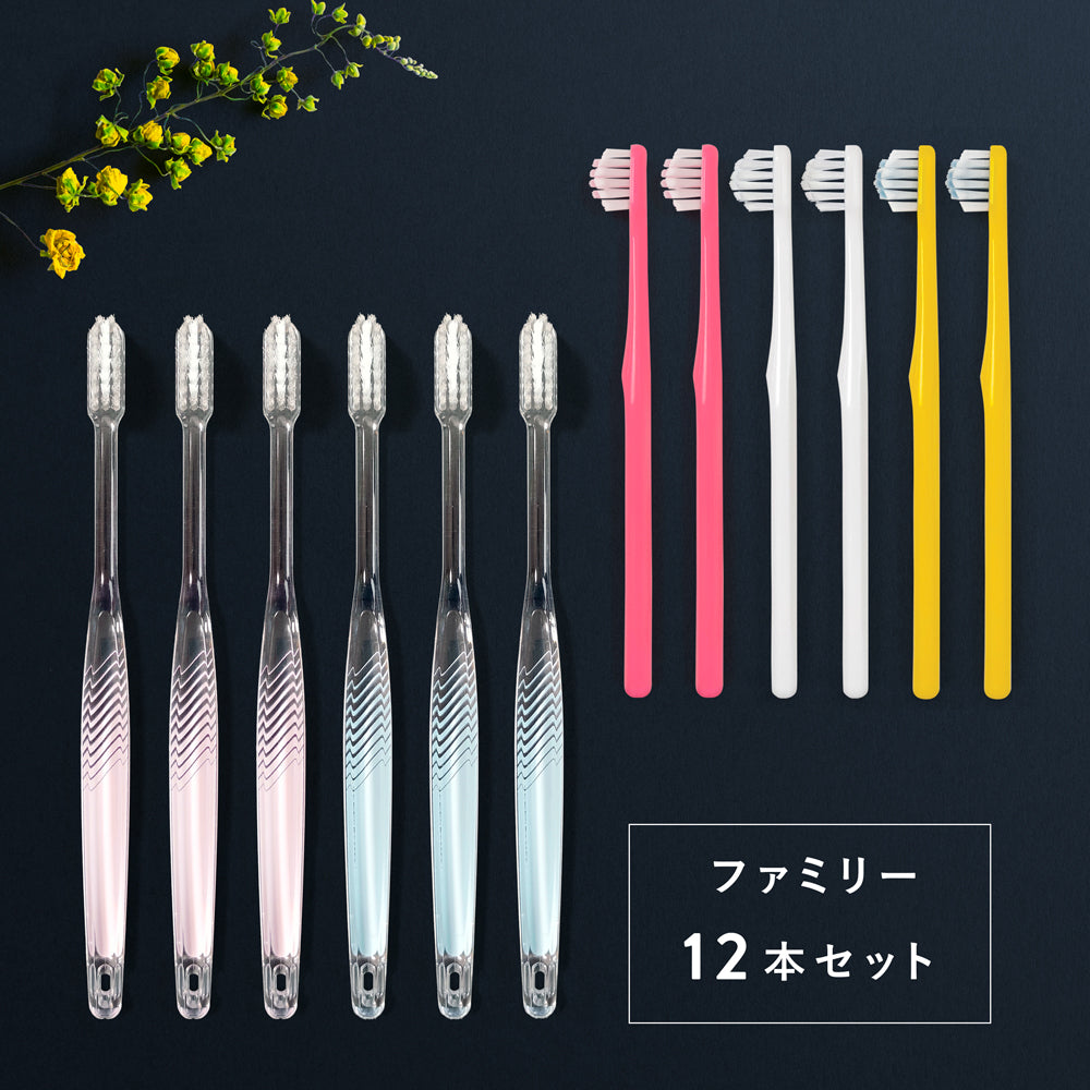 ファミリー12本セット